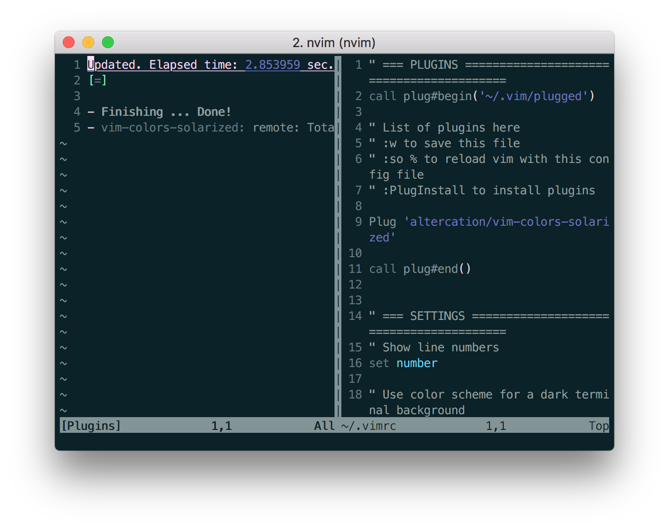 Vim PlugInstall success